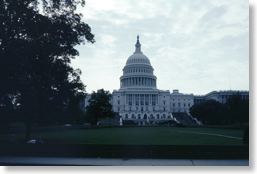 Pasted Graphic 1